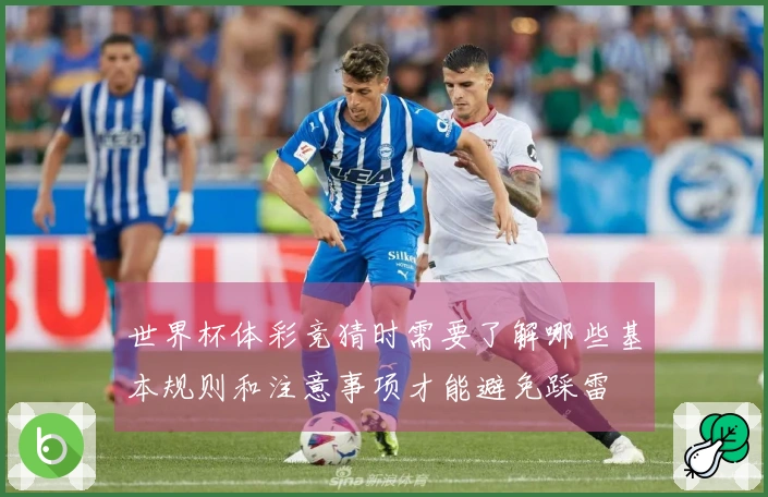 世界杯体彩竞猜时需要了解哪些基本规则和注意事项才能避免踩雷