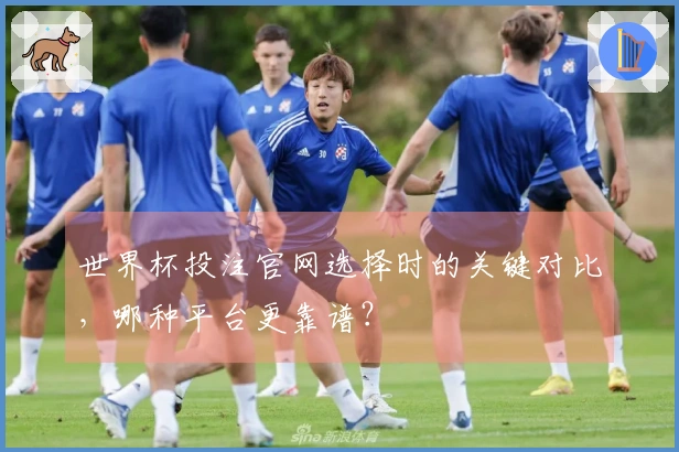 世界杯投注官网选择时的关键对比，哪种平台更靠谱？