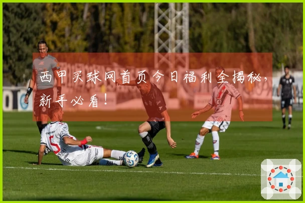 西甲买球网首页今日福利全揭秘，新手必看！