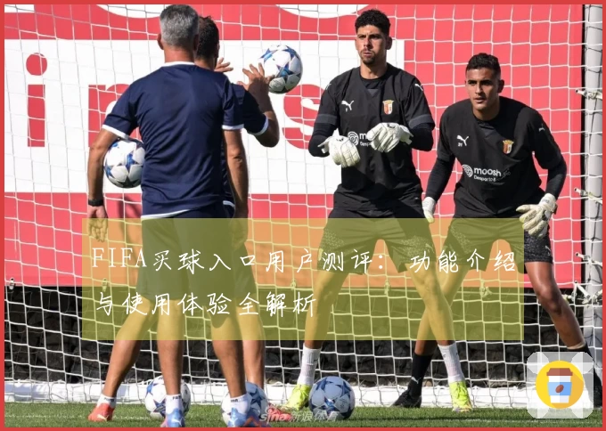 FIFA买球入口用户测评：功能介绍与使用体验全解析