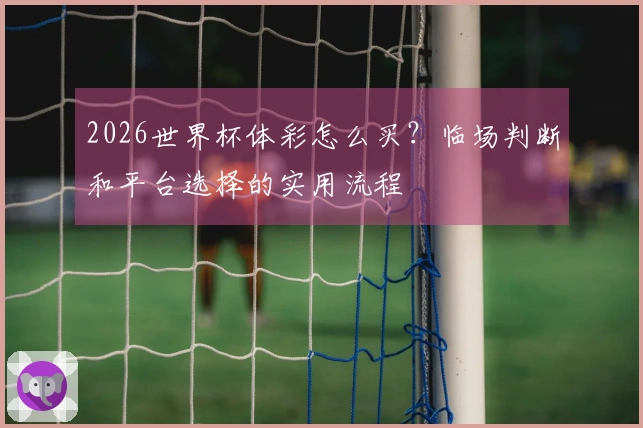 2026世界杯体彩怎么买？临场判断和平台选择的实用流程