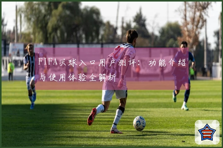 FIFA买球入口用户测评：功能介绍与使用体验全解析