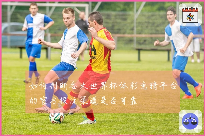 如何判断各大世界杯体彩竞猜平台的官方投注渠道是否可靠