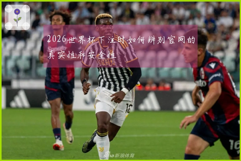 2026世界杯下注时如何辨别官网的真实性和安全性