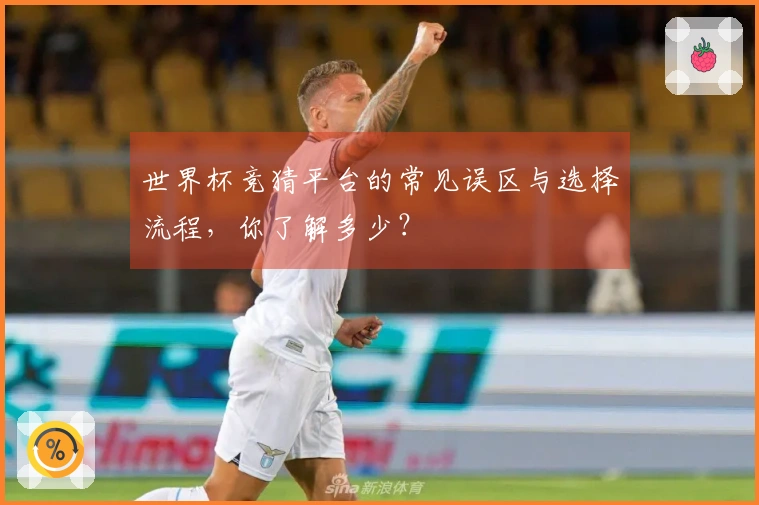 世界杯竞猜平台的常见误区与选择流程，你了解多少？