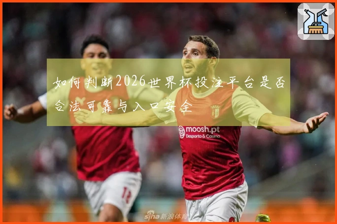 如何判断2026世界杯投注平台是否合法可靠与入口安全