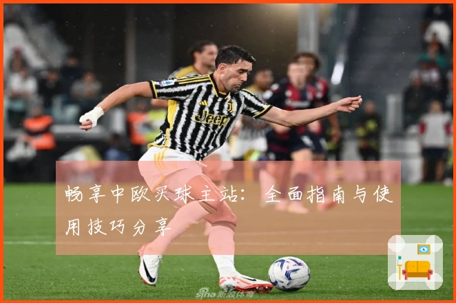 畅享中欧买球主站：全面指南与使用技巧分享
