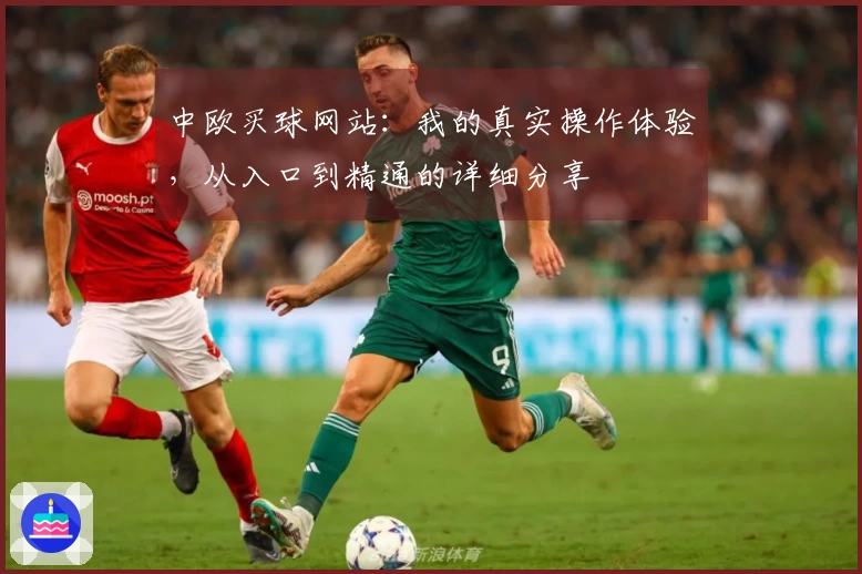 中欧买球网站：我的真实操作体验，从入口到精通的详细分享