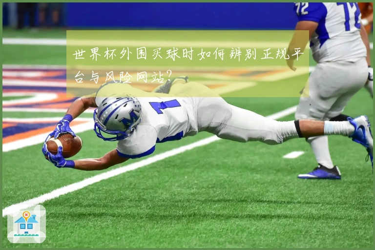 世界杯外围买球时如何辨别正规平台与风险网站？