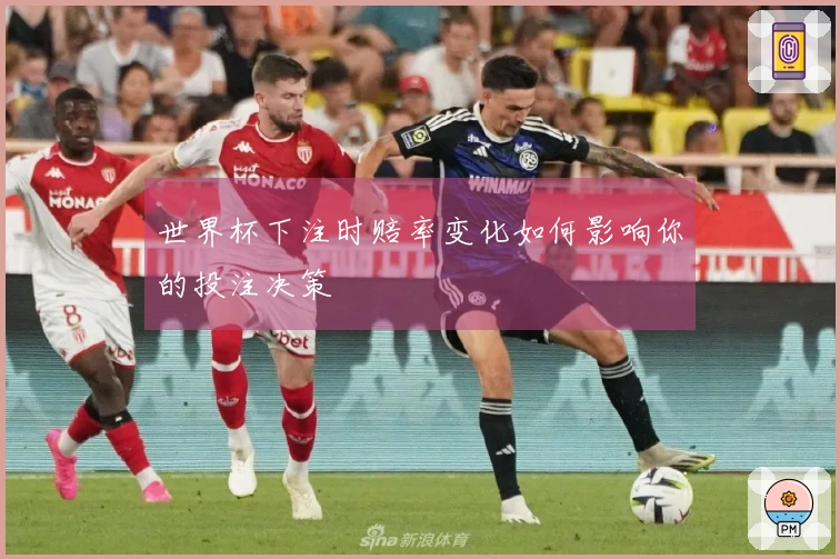世界杯下注时赔率变化如何影响你的投注决策