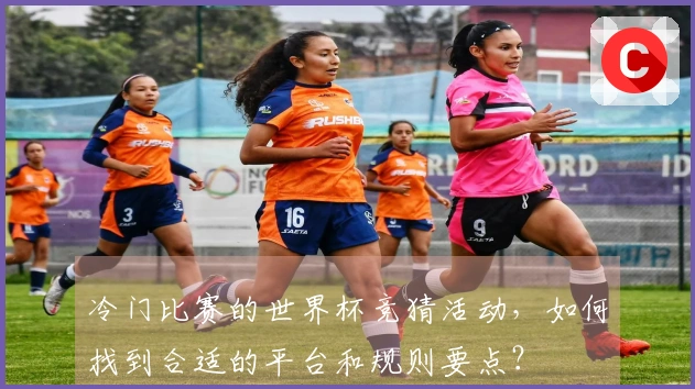 冷门比赛的世界杯竞猜活动，如何找到合适的平台和规则要点？