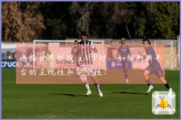 选择世界杯投注APP时,如何判断平台的正规性和安全性?
