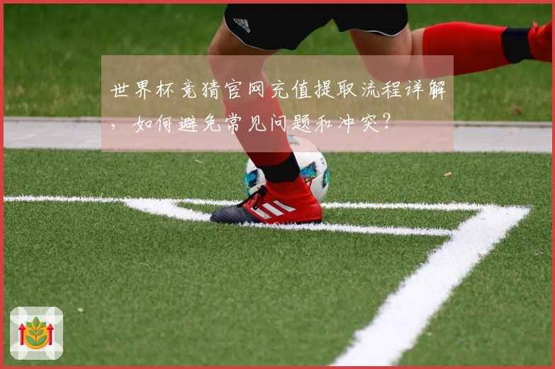 世界杯竞猜官网充值提取流程详解，如何避免常见问题和冲突？