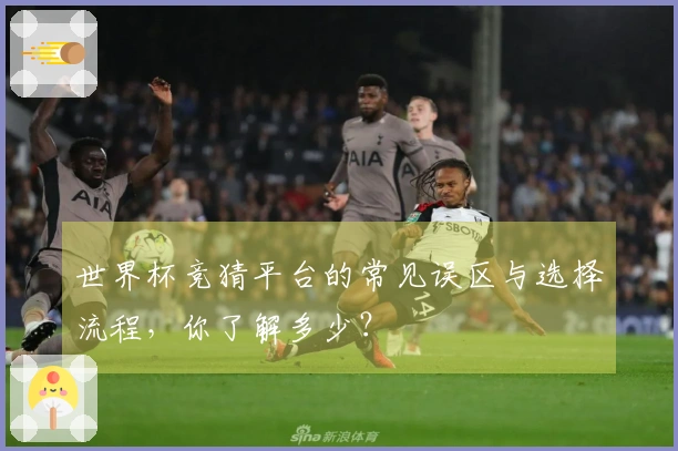 世界杯竞猜平台的常见误区与选择流程，你了解多少？