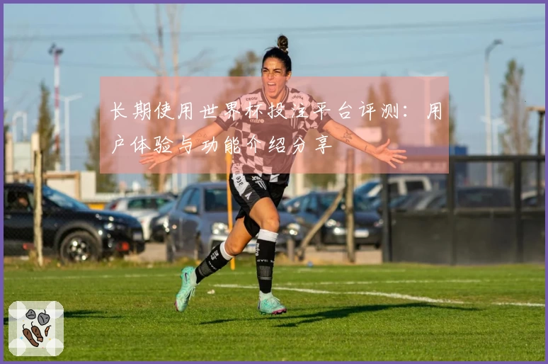 长期使用世界杯投注平台评测：用户体验与功能介绍分享