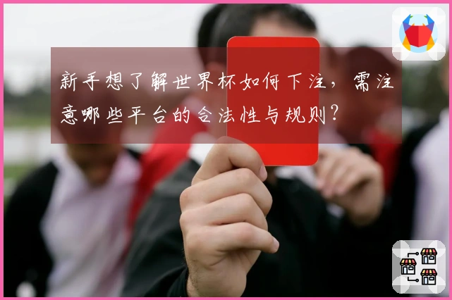 新手想了解世界杯如何下注，需注意哪些平台的合法性与规则？